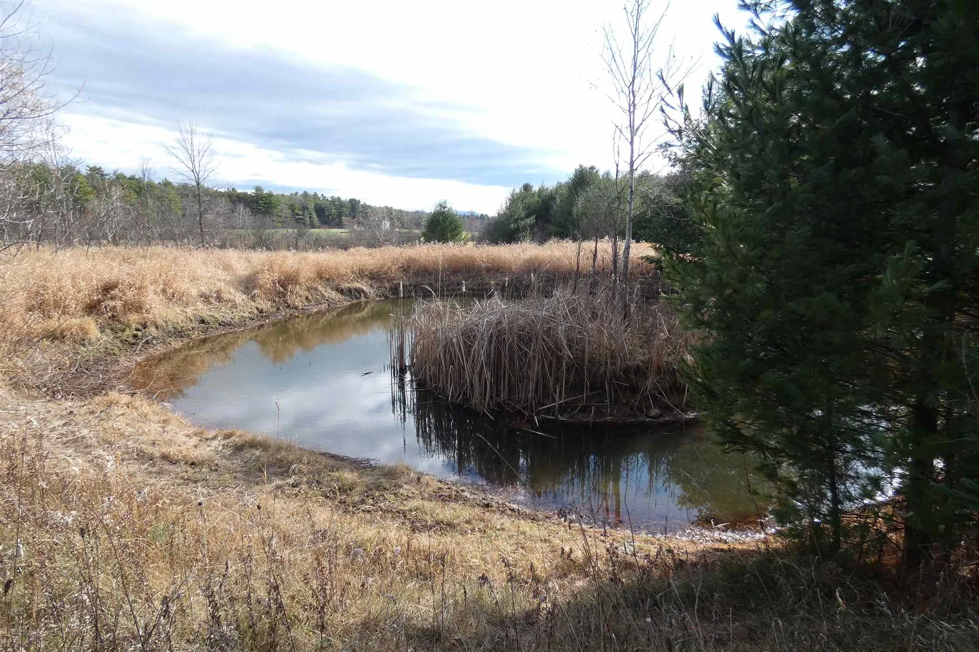 345 Perkins Road Weybridge VT 05753