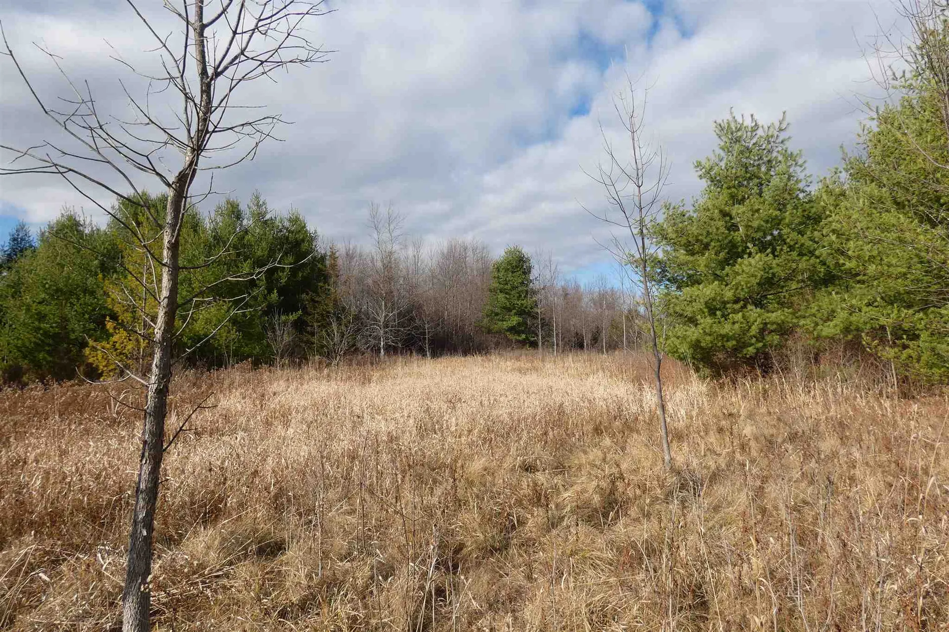 345 Perkins Road Weybridge VT 05753