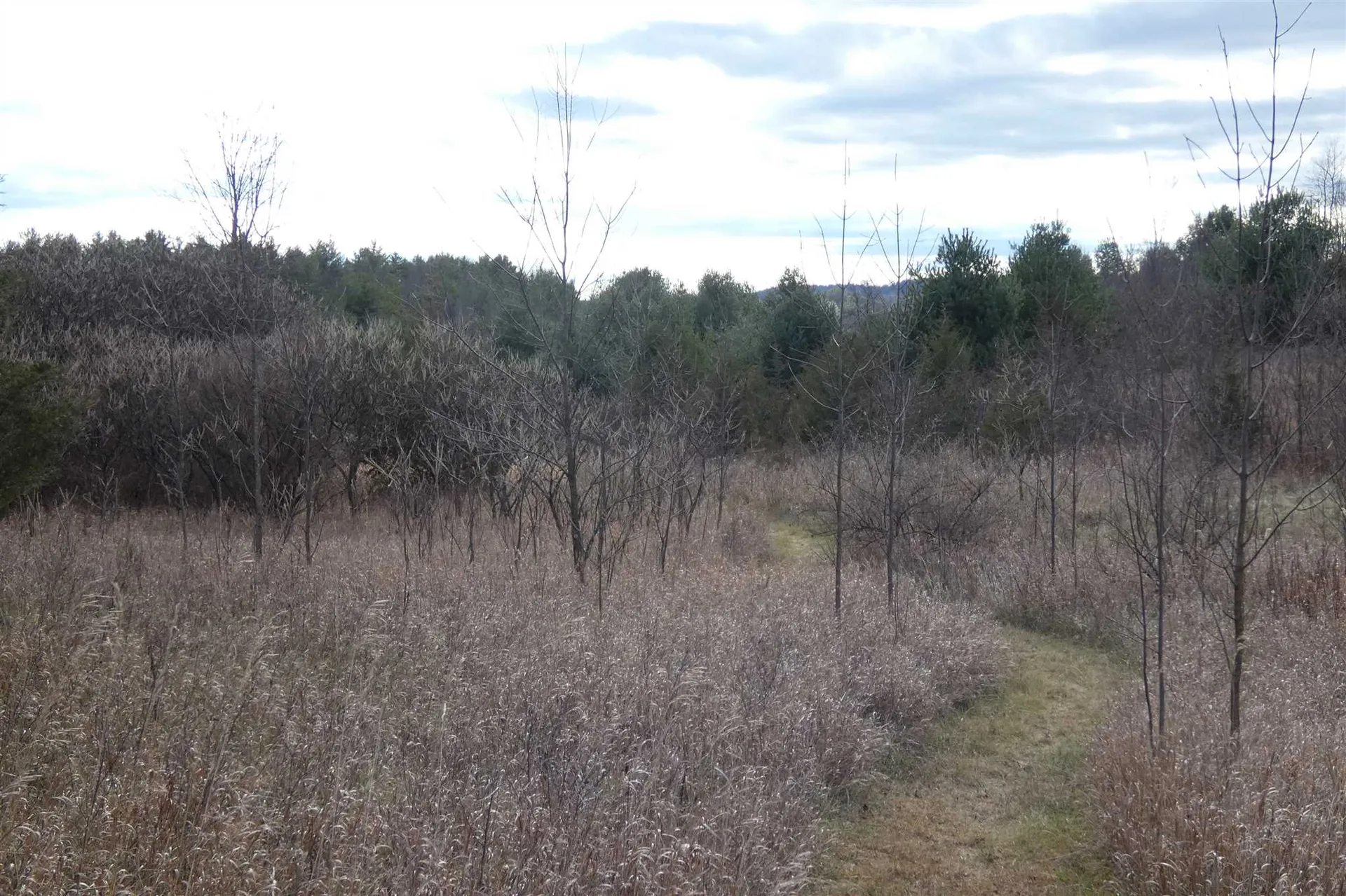 345 Perkins Road Weybridge VT 05753
