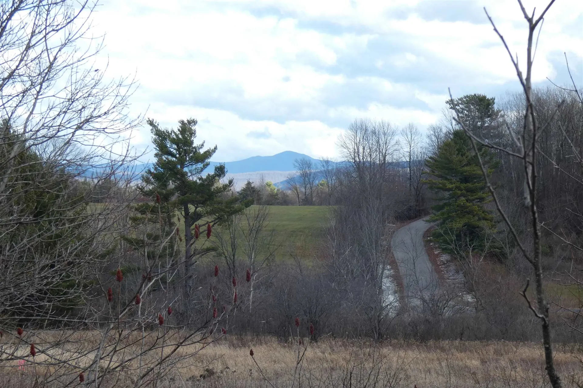 345 Perkins Road Weybridge VT 05753
