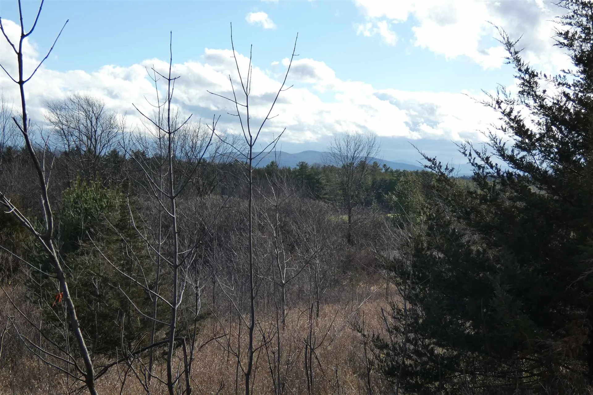 345 Perkins Road Weybridge VT 05753