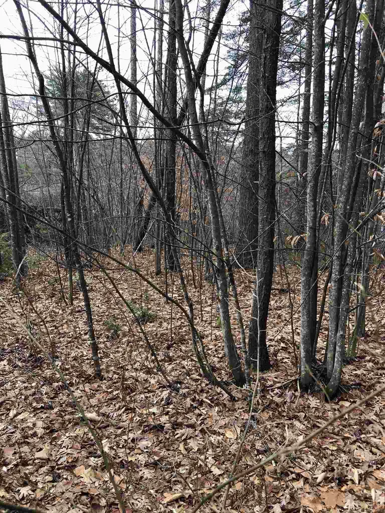 67 Riverhill Avenue Concord NH 03303