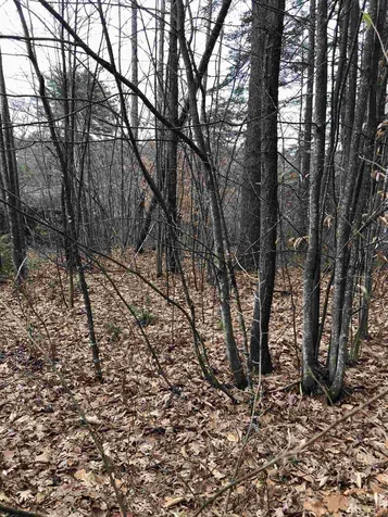 67 Riverhill Avenue Concord NH 03303