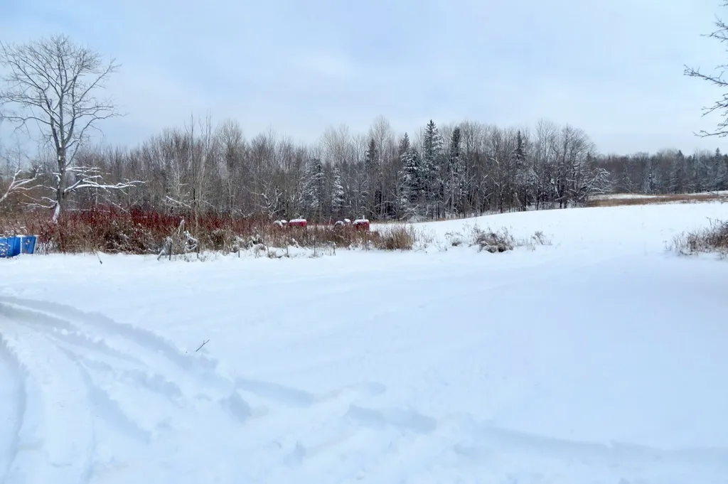 862 Baird Road Barton VT 05822
