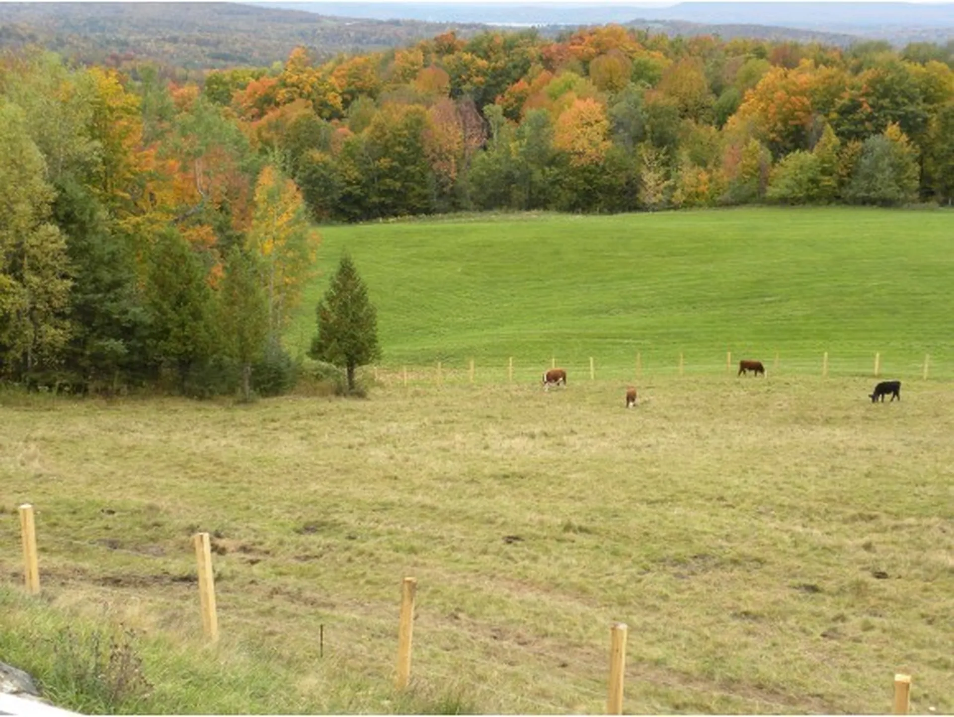 734 Herrick Street Derby VT 05829