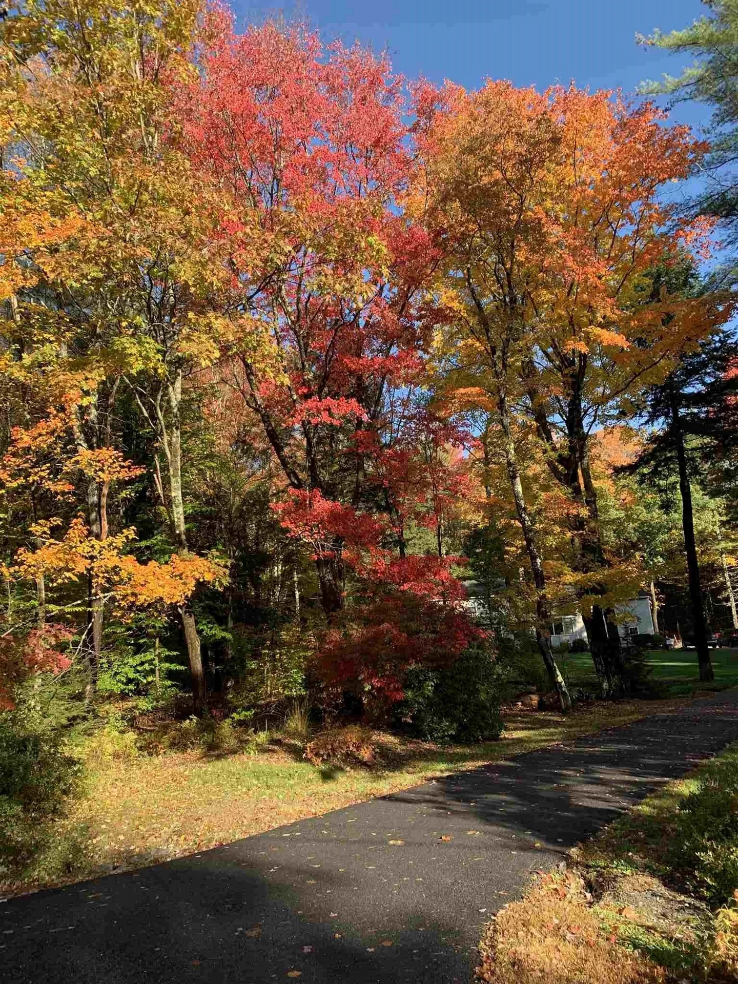 48 Dickinson Road Keene NH 03431