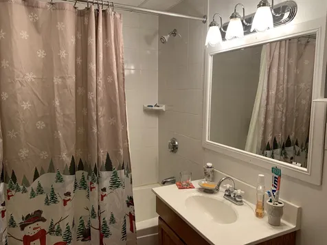49 Stearns Avenue Wilmington VT 05363