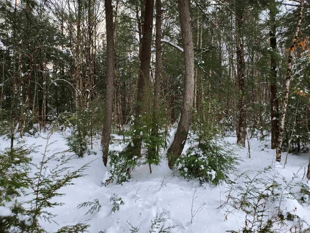 00 Arron Road Piermont NH 03779