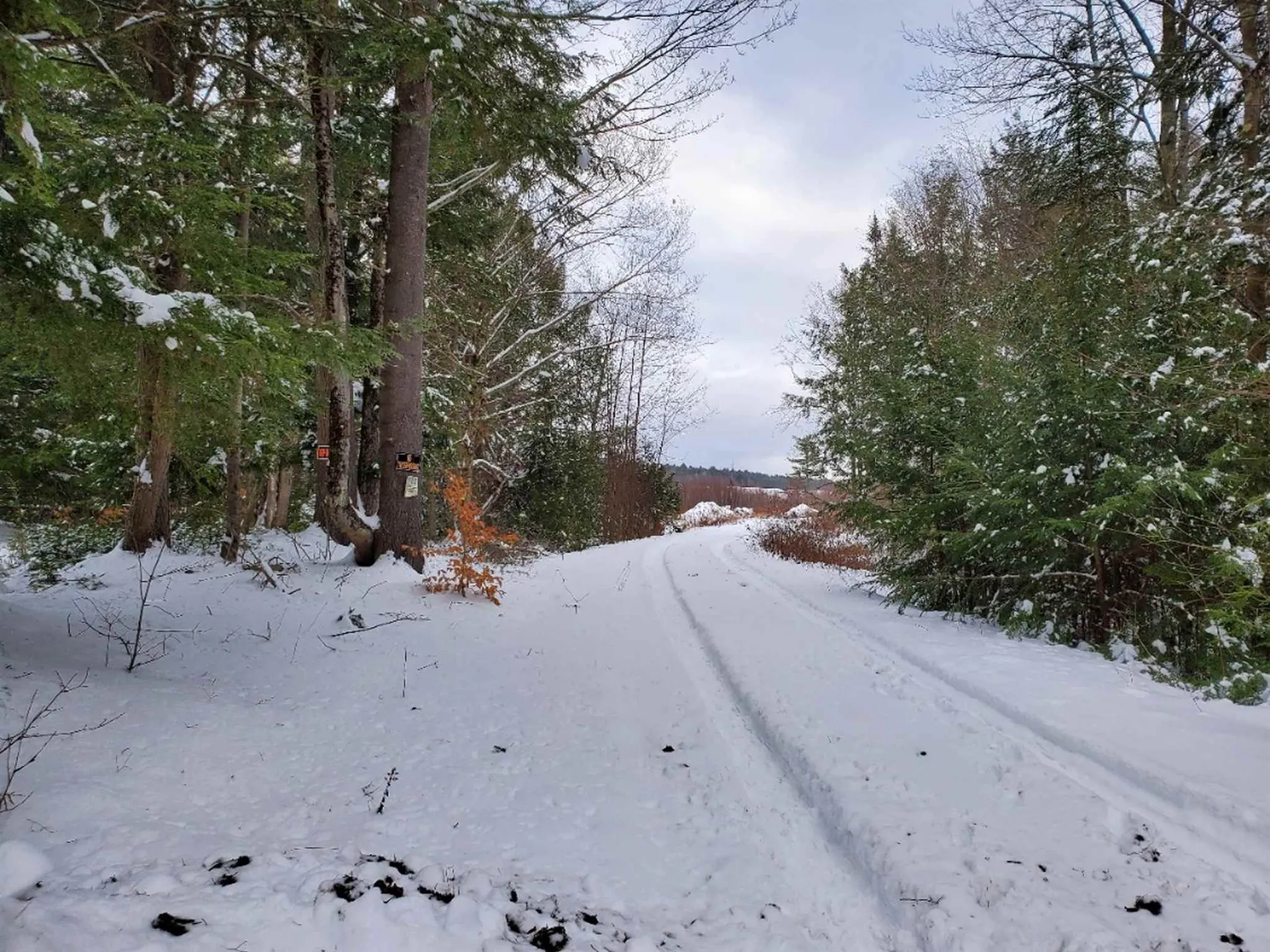 00 Arron Road Piermont NH 03779