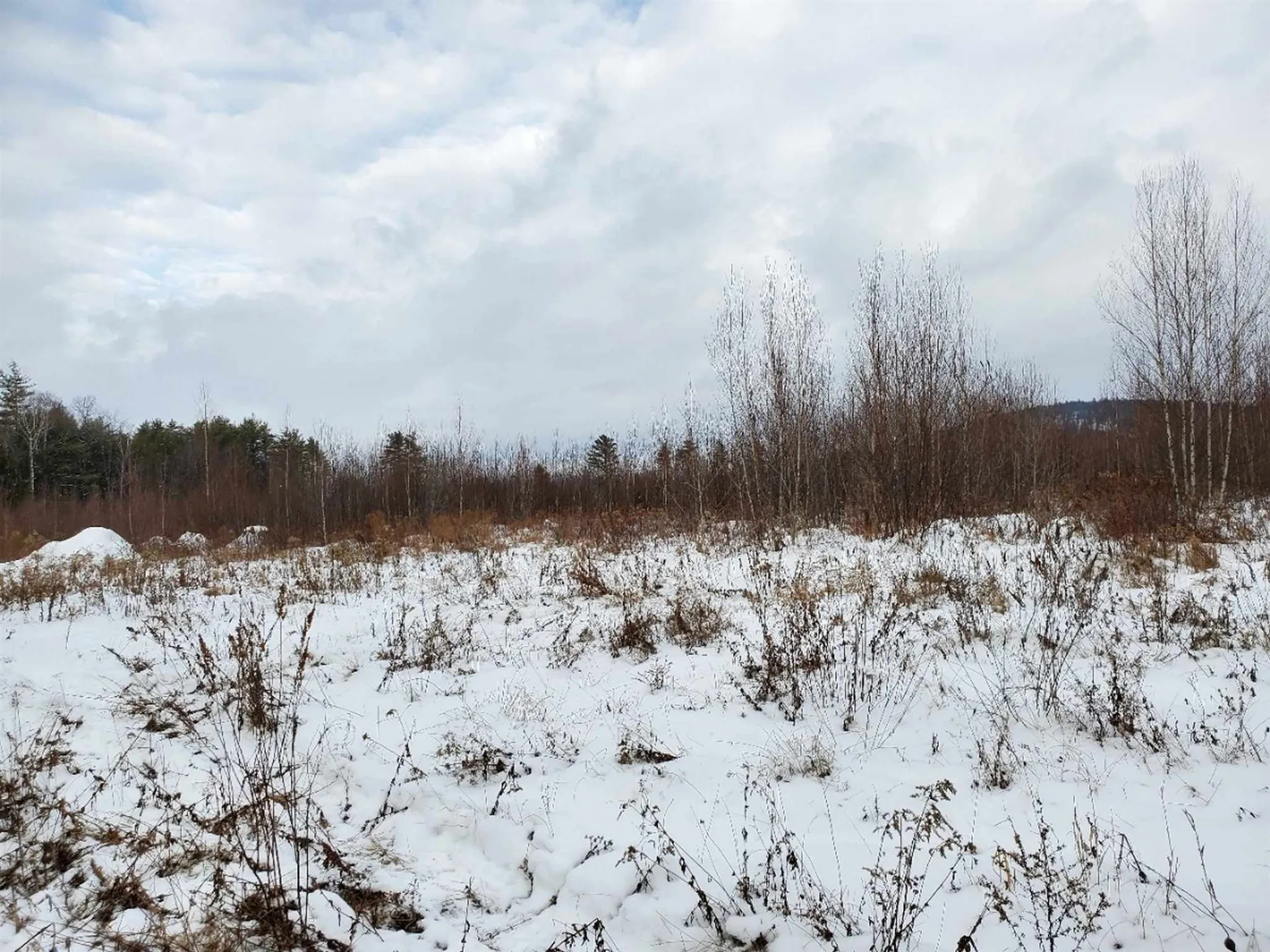 00 Arron Road Piermont NH 03779