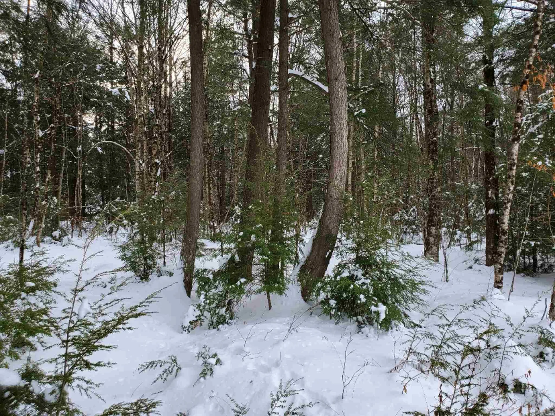 00 Arron Road Piermont NH 03779
