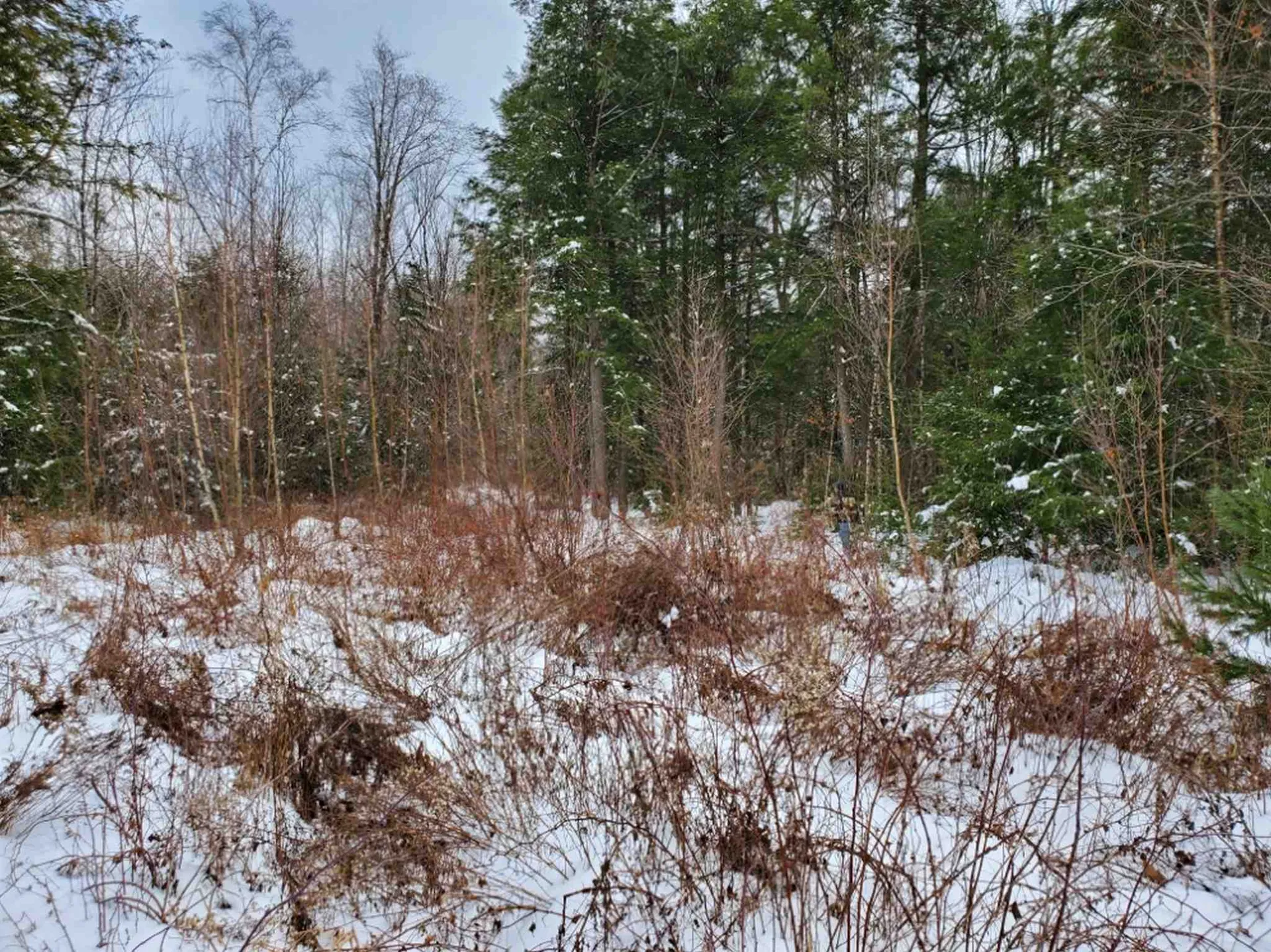 00 Arron Road Piermont NH 03779