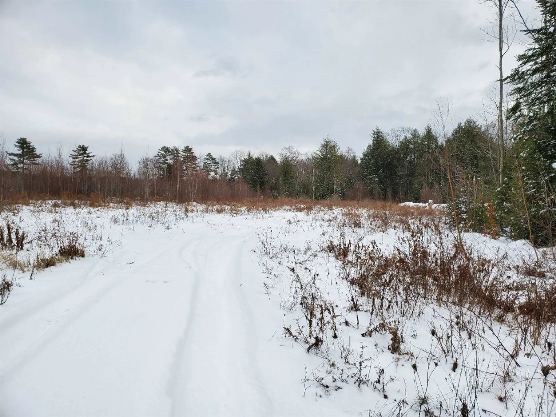 00 Arron Road Piermont NH 03779