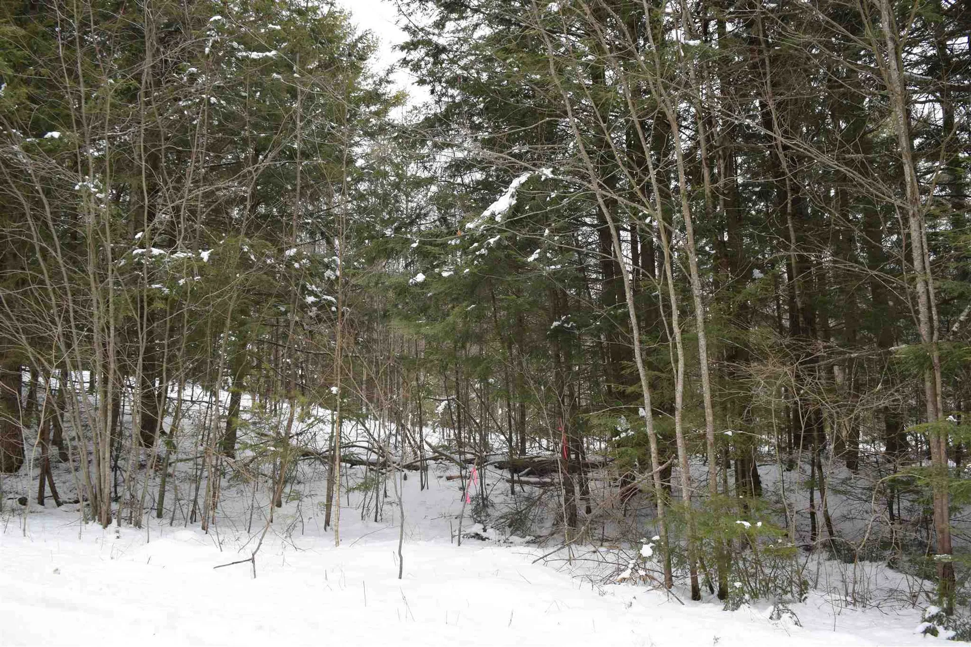 Lot 147 Carr Road Haverhill NH 03765