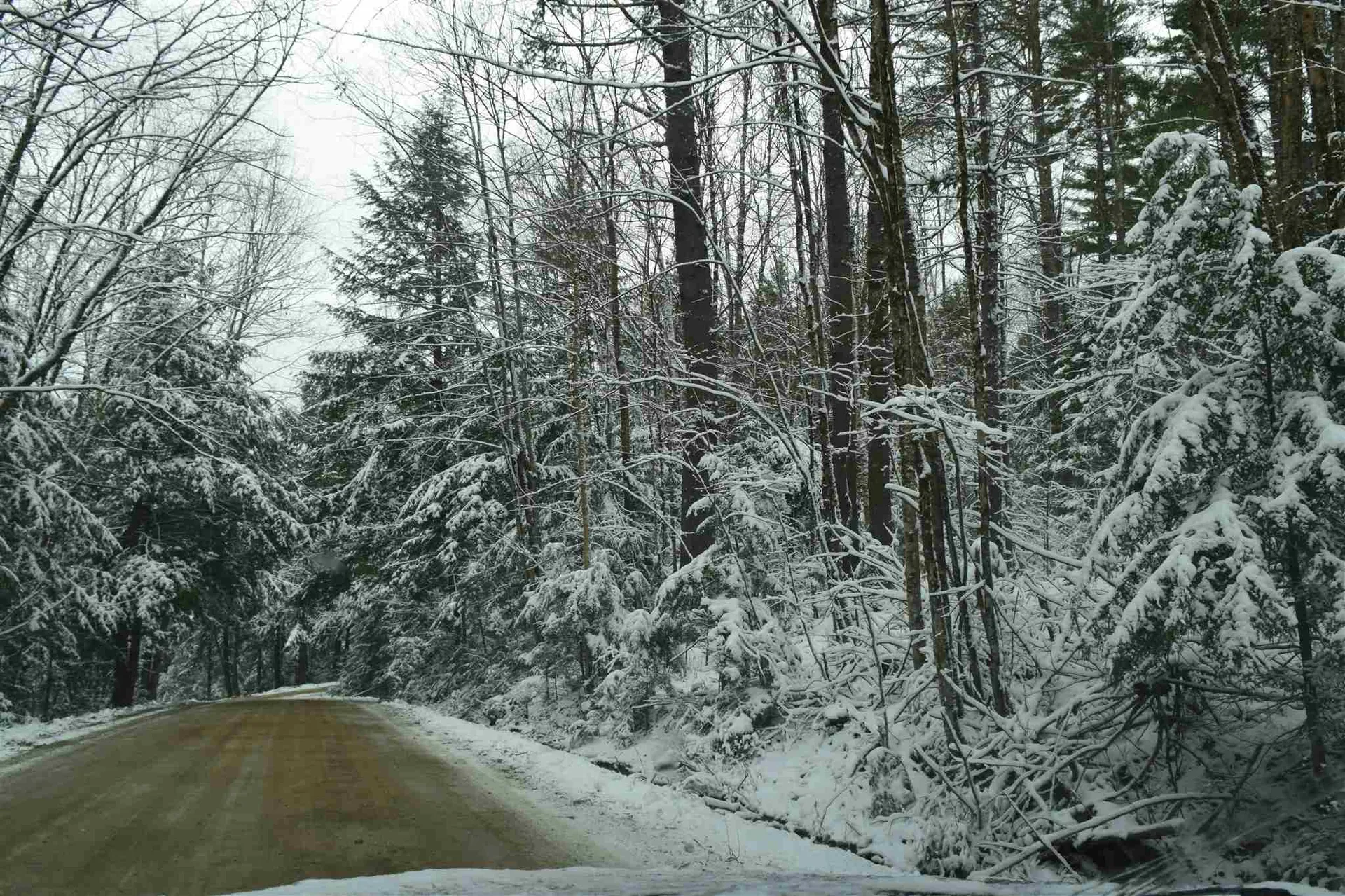 Lot 147 Carr Road Haverhill NH 03765