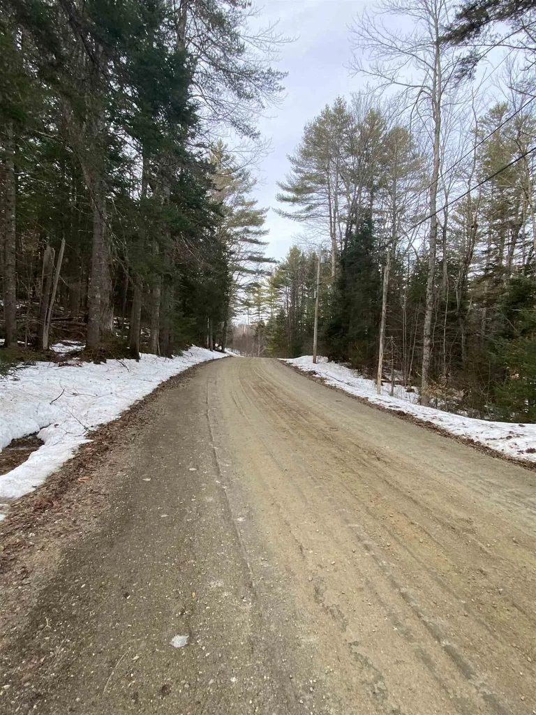 Lot 4 Mountain Lake Road Londonderry VT 05148
