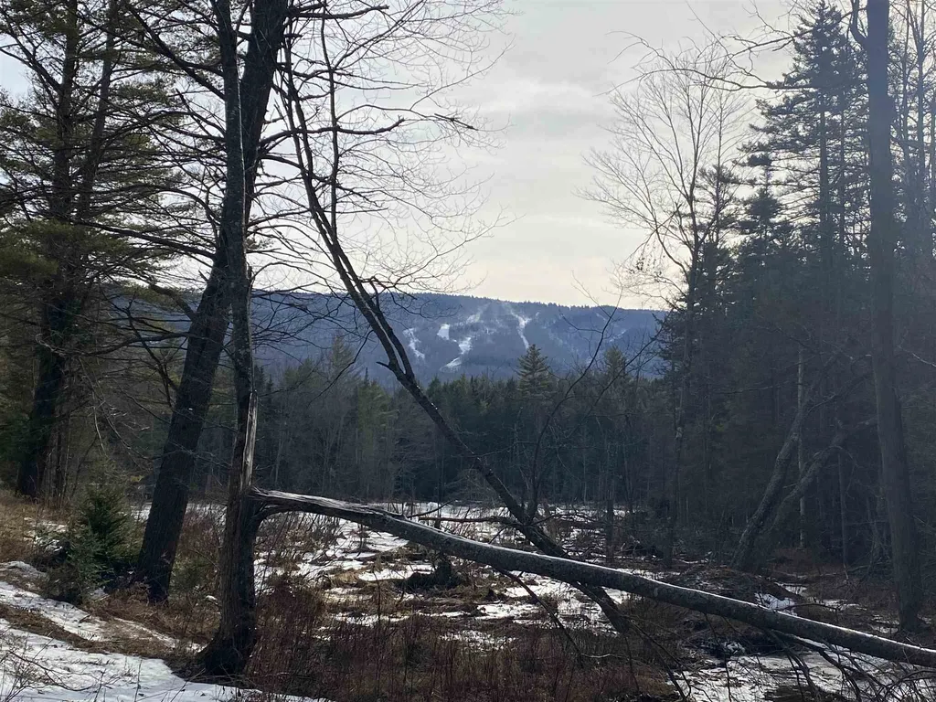 Lot 4 Mountain Lake Road Londonderry VT 05148