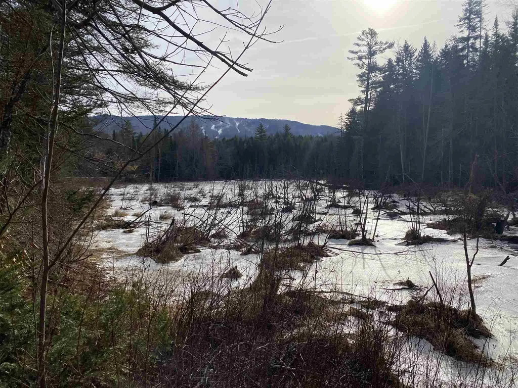Lot 4 Mountain Lake Road Londonderry VT 05148