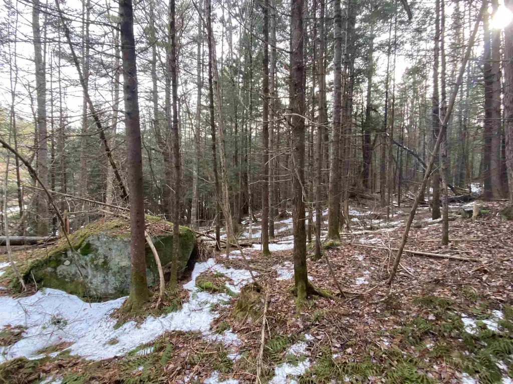 Lot 4 Mountain Lake Road Londonderry VT 05148
