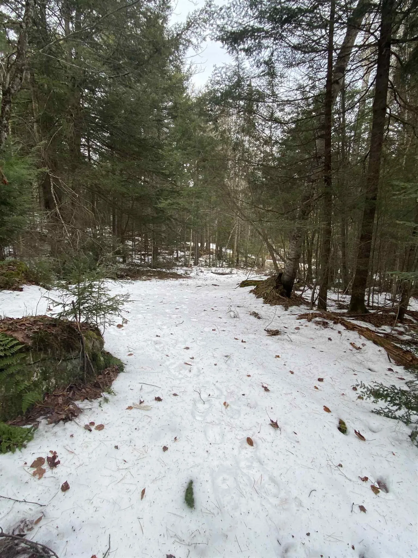 Lot 4 Mountain Lake Road Londonderry VT 05148