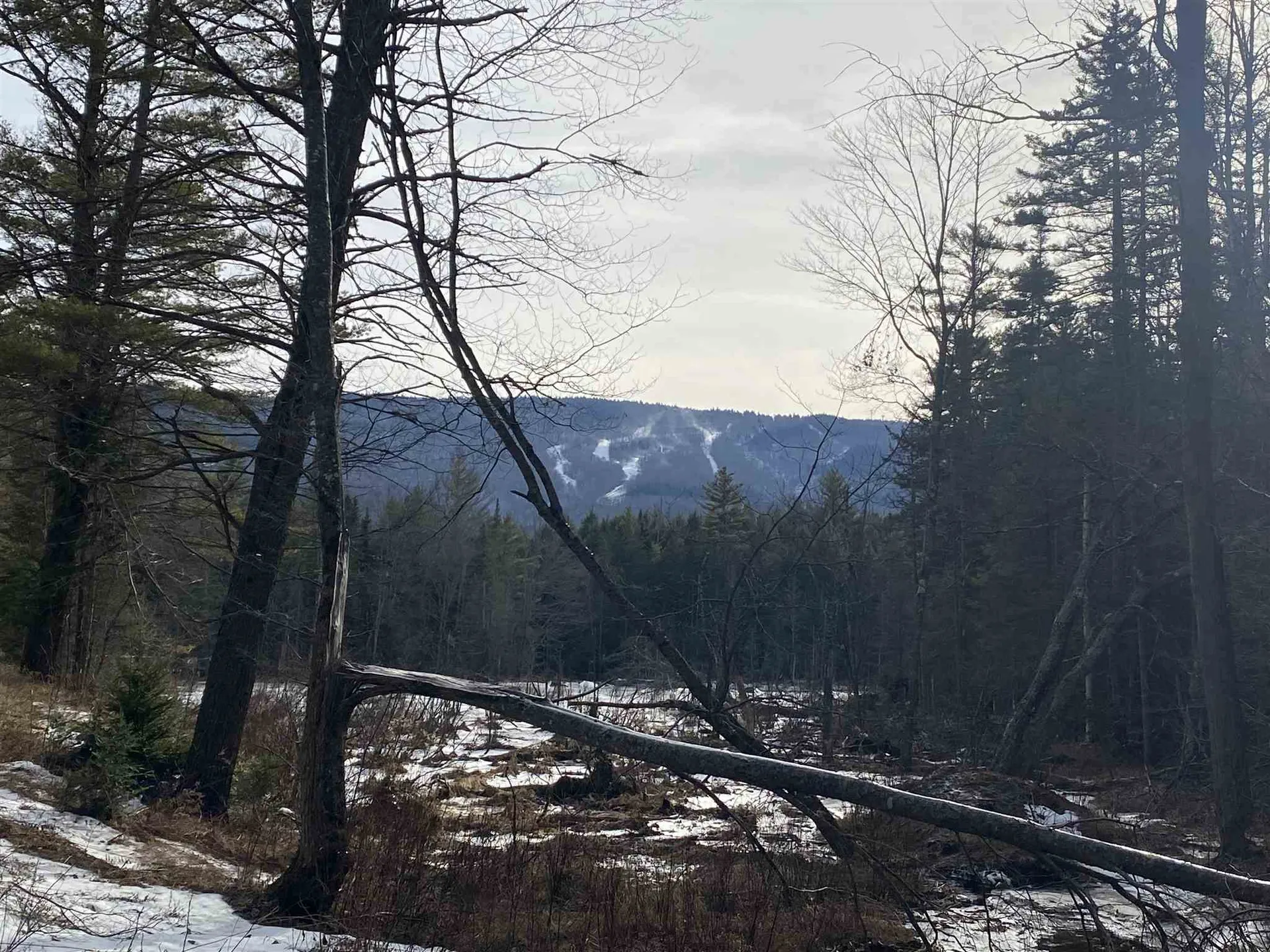 Lot 4 Mountain Lake Road Londonderry VT 05148