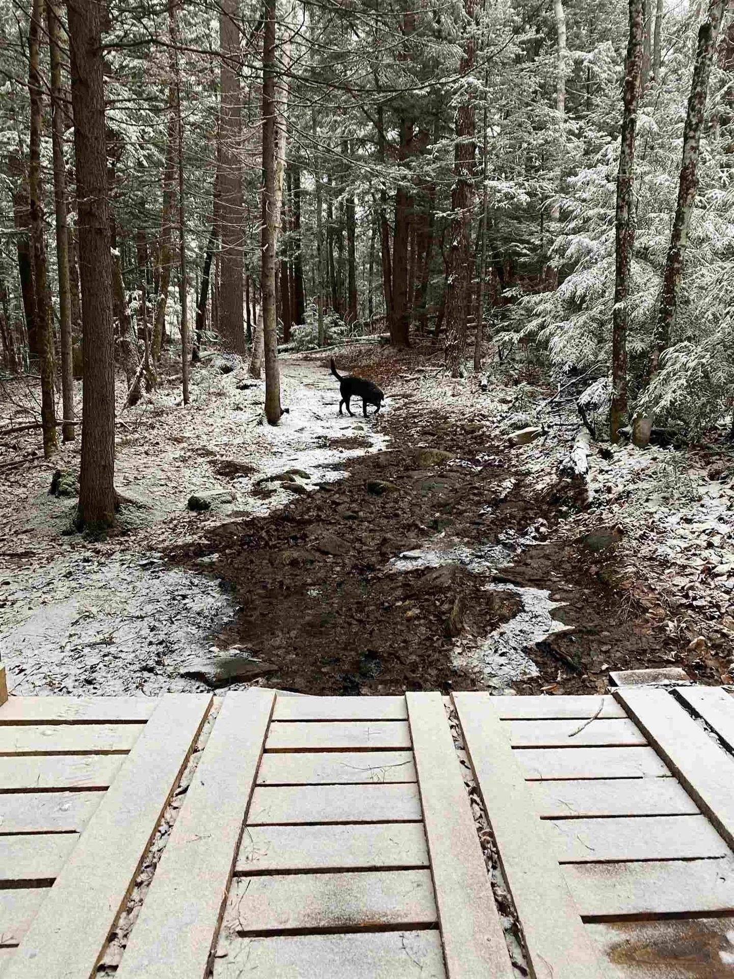 Lot 4 Mountain Lake Road Londonderry VT 05148