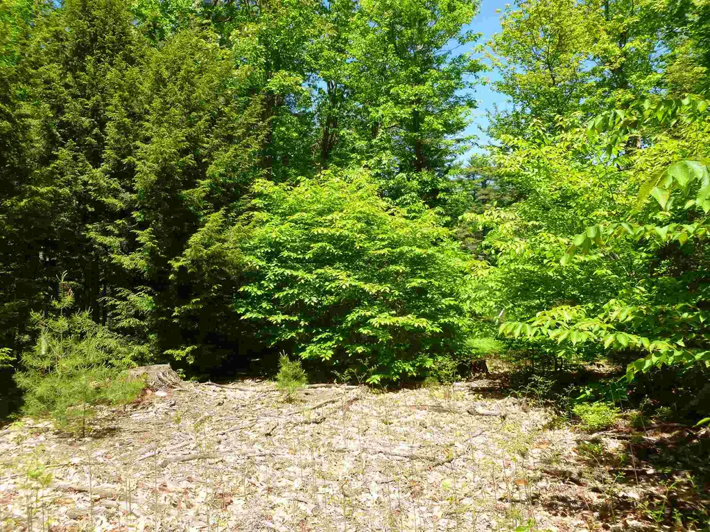 Lot 15 White Mountain Highway Wakefield NH 03872
