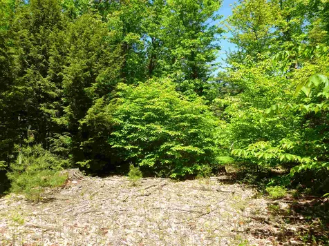 Lot 15 White Mountain Highway Wakefield NH 03872