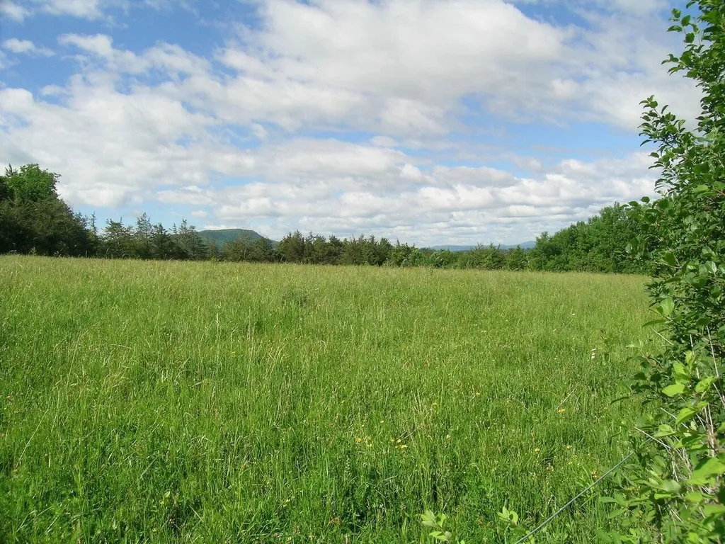 2996 Maple Street Vergennes VT 05491