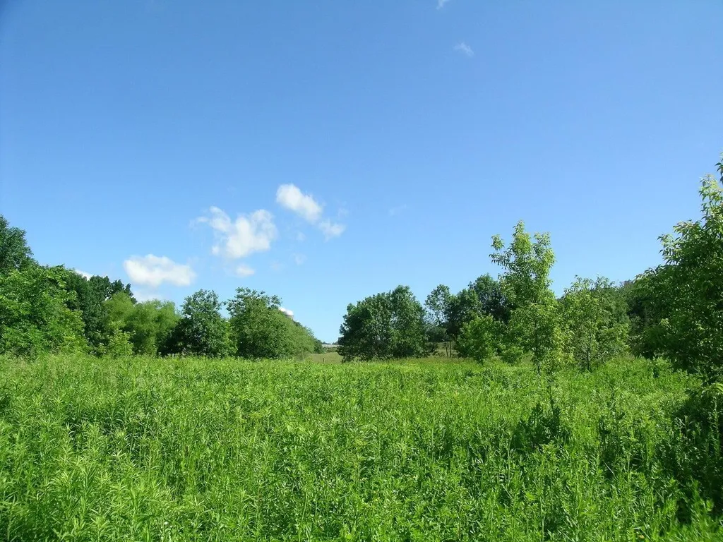 2996 Maple Street Vergennes VT 05491