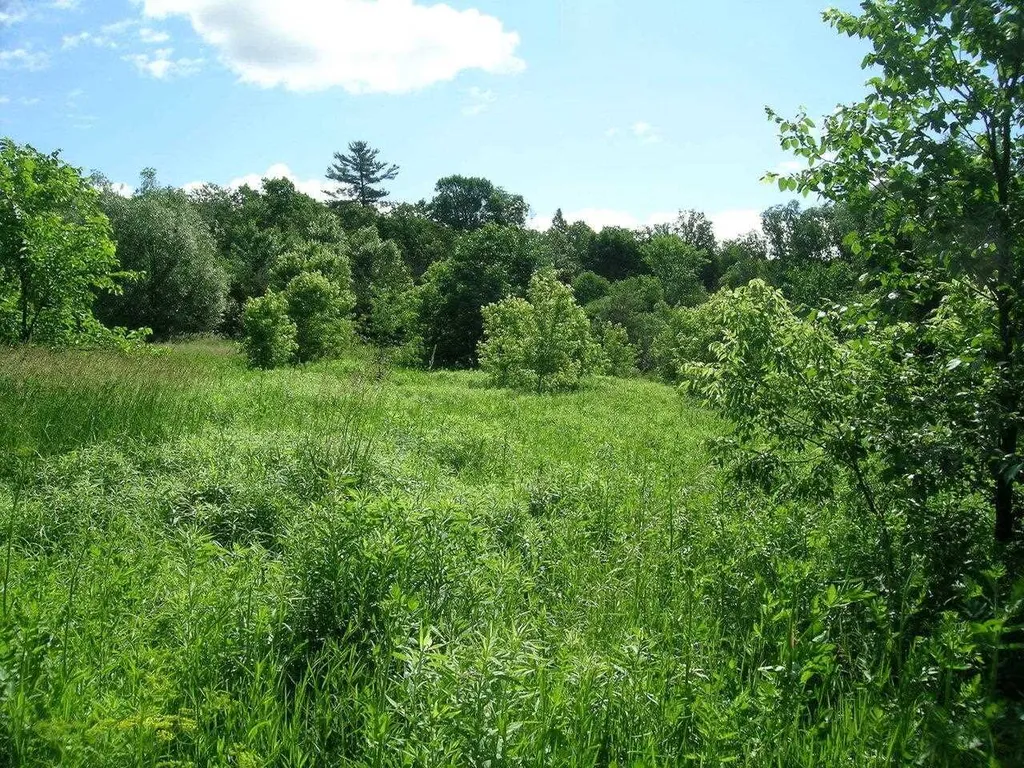 2996 Maple Street Vergennes VT 05491