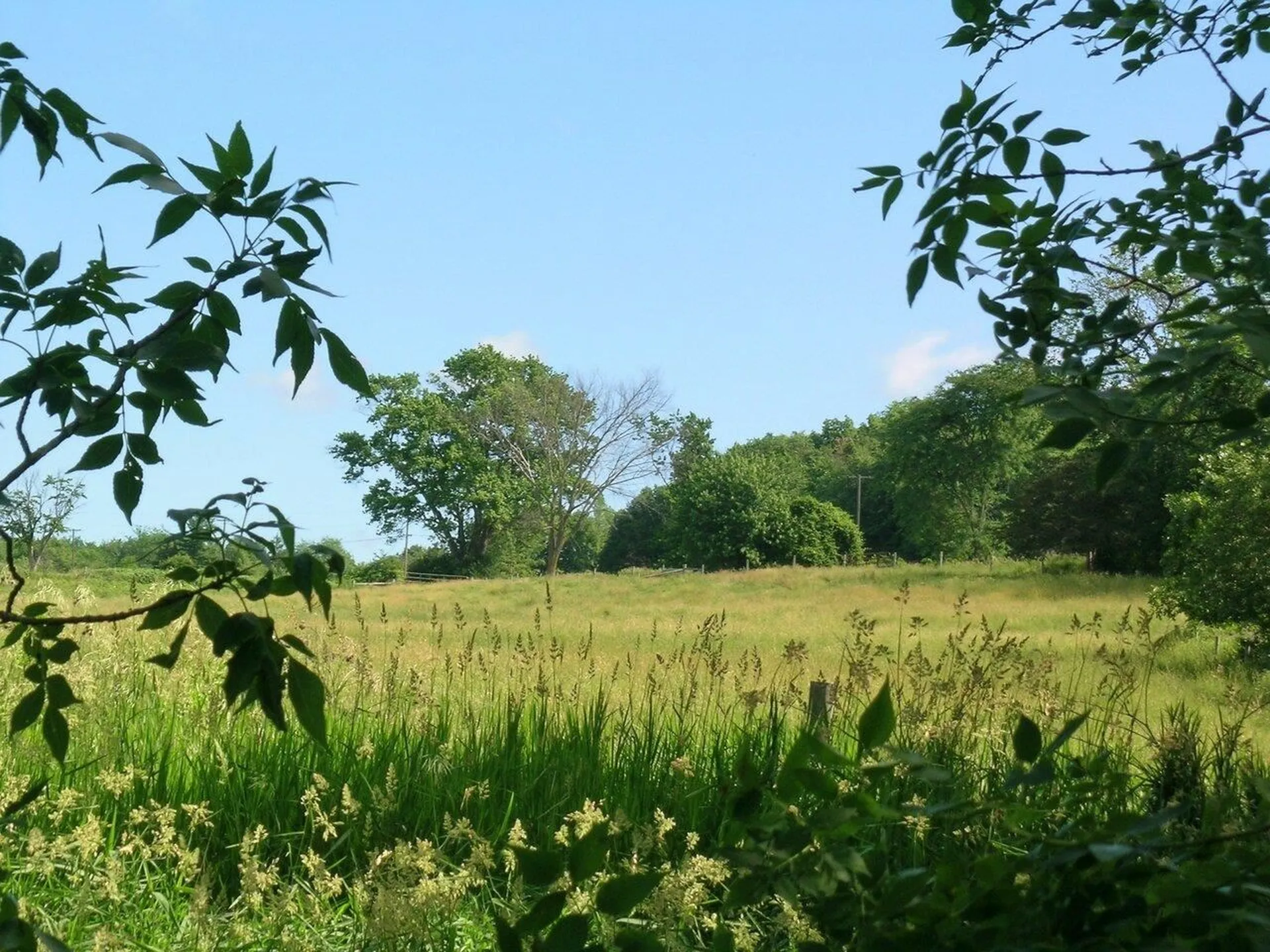2996 Maple Street Vergennes VT 05491