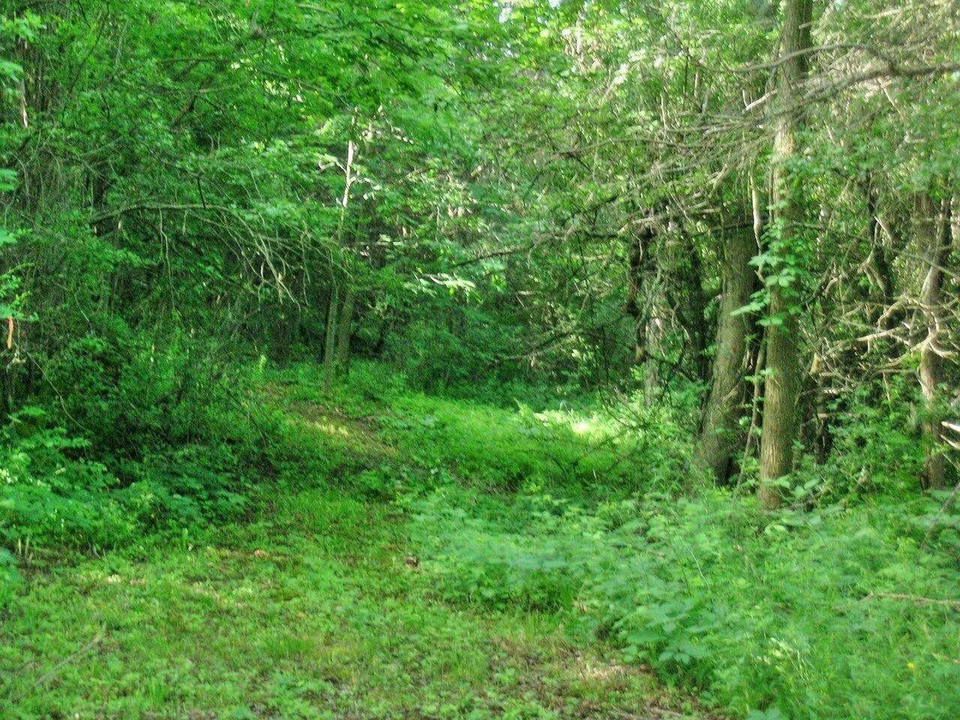 2996 Maple Street Vergennes VT 05491