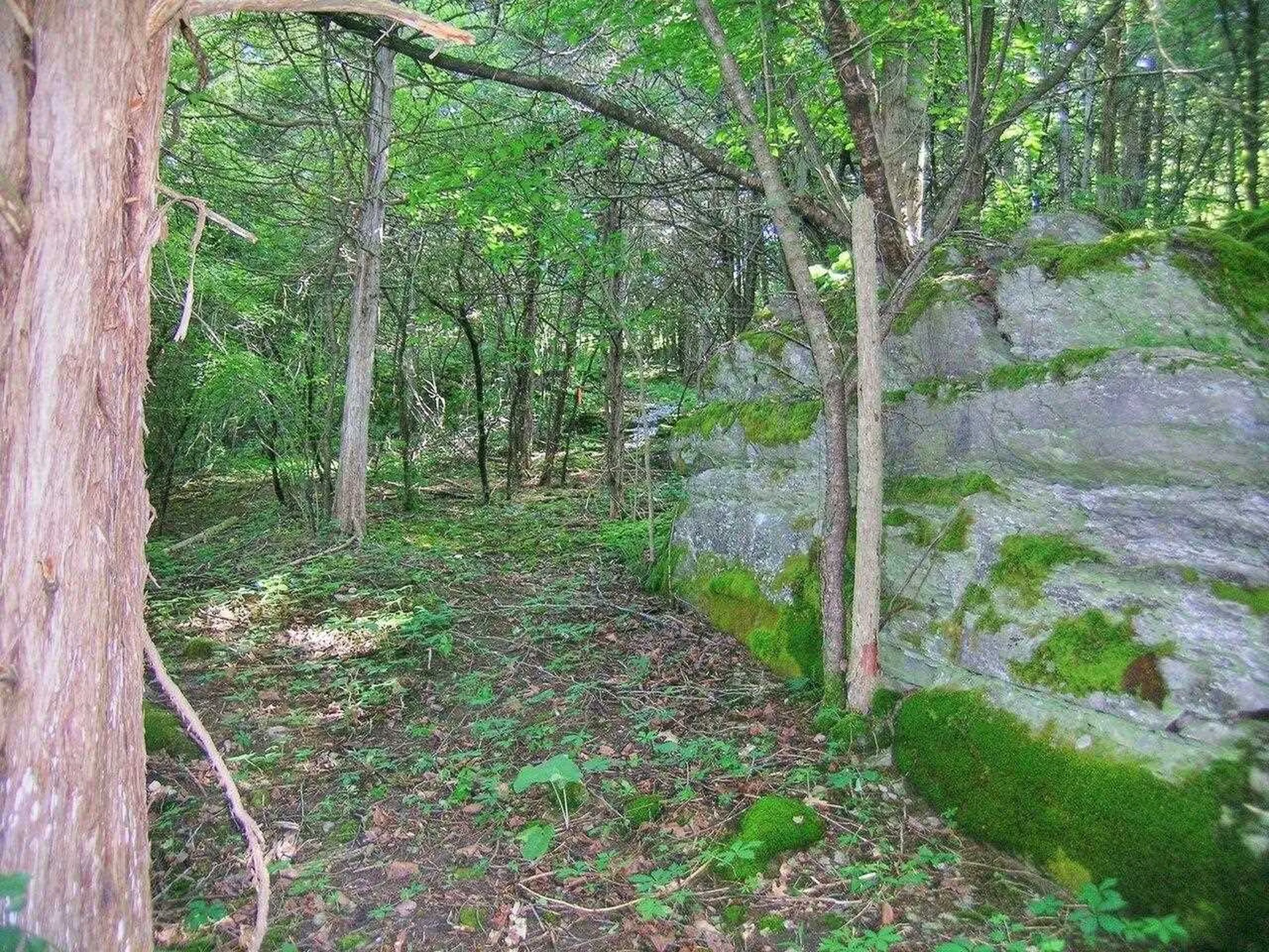 2996 Maple Street Vergennes VT 05491