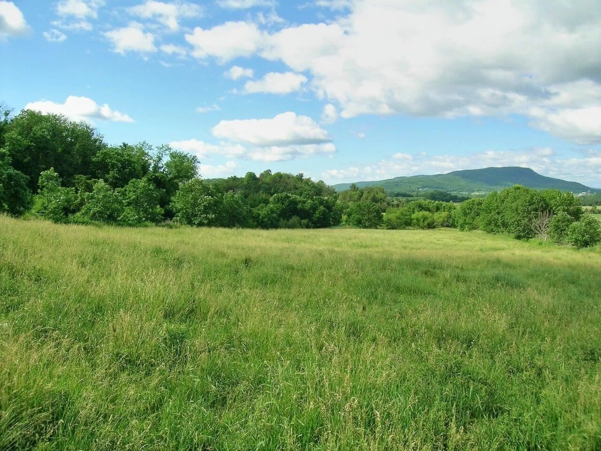 2996 Maple Street Vergennes VT 05491