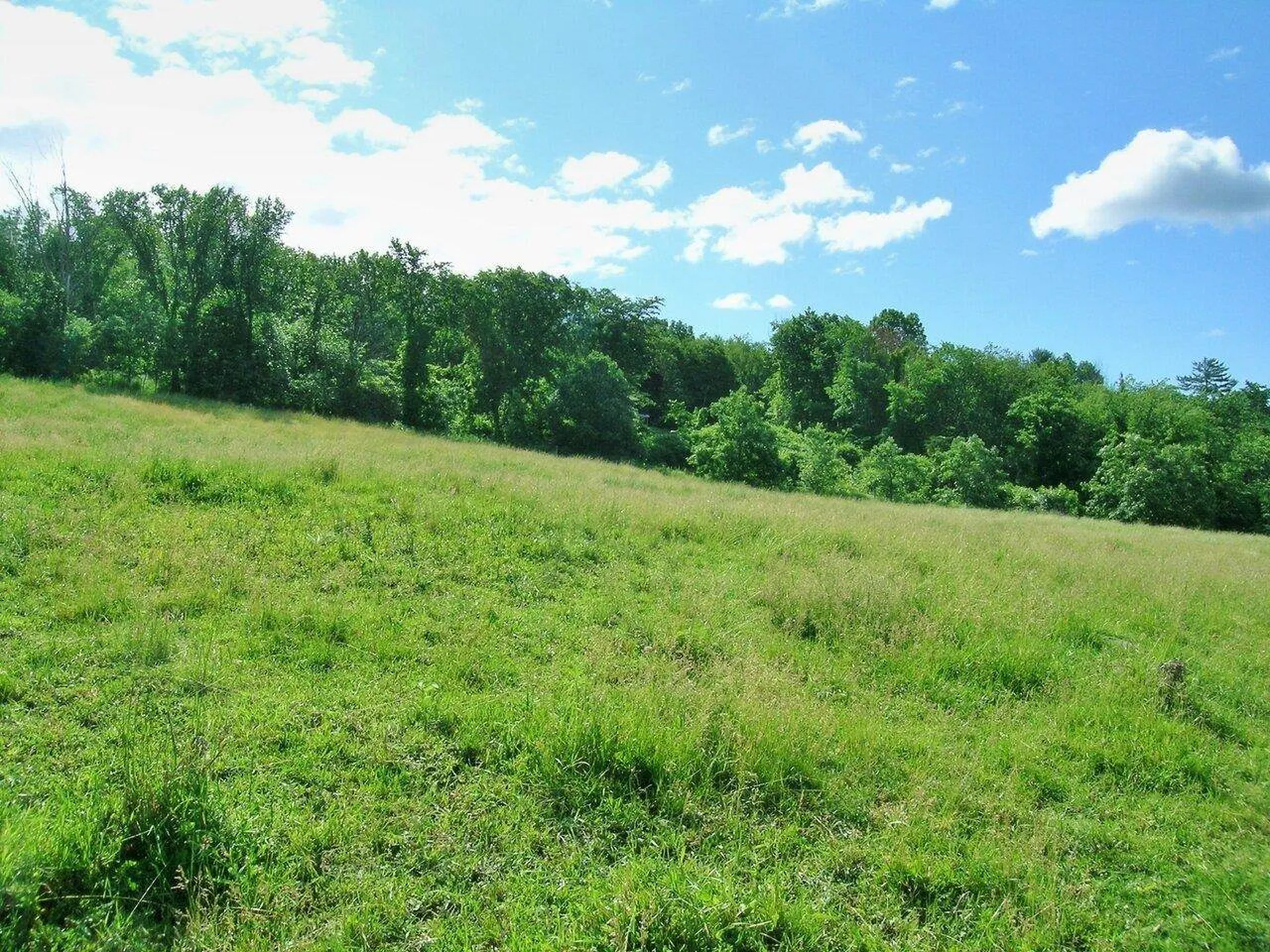 2996 Maple Street Vergennes VT 05491