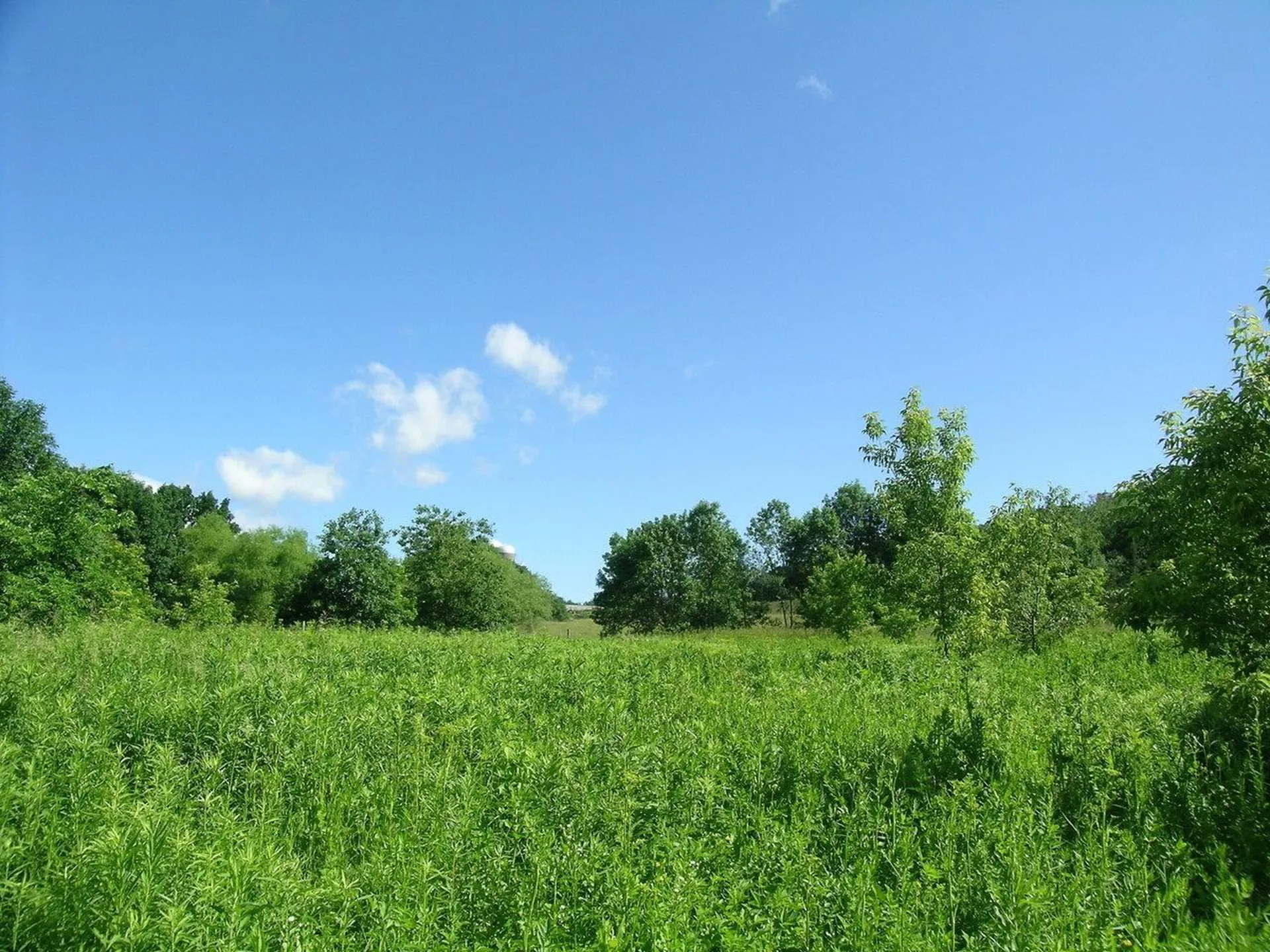 2996 Maple Street Vergennes VT 05491