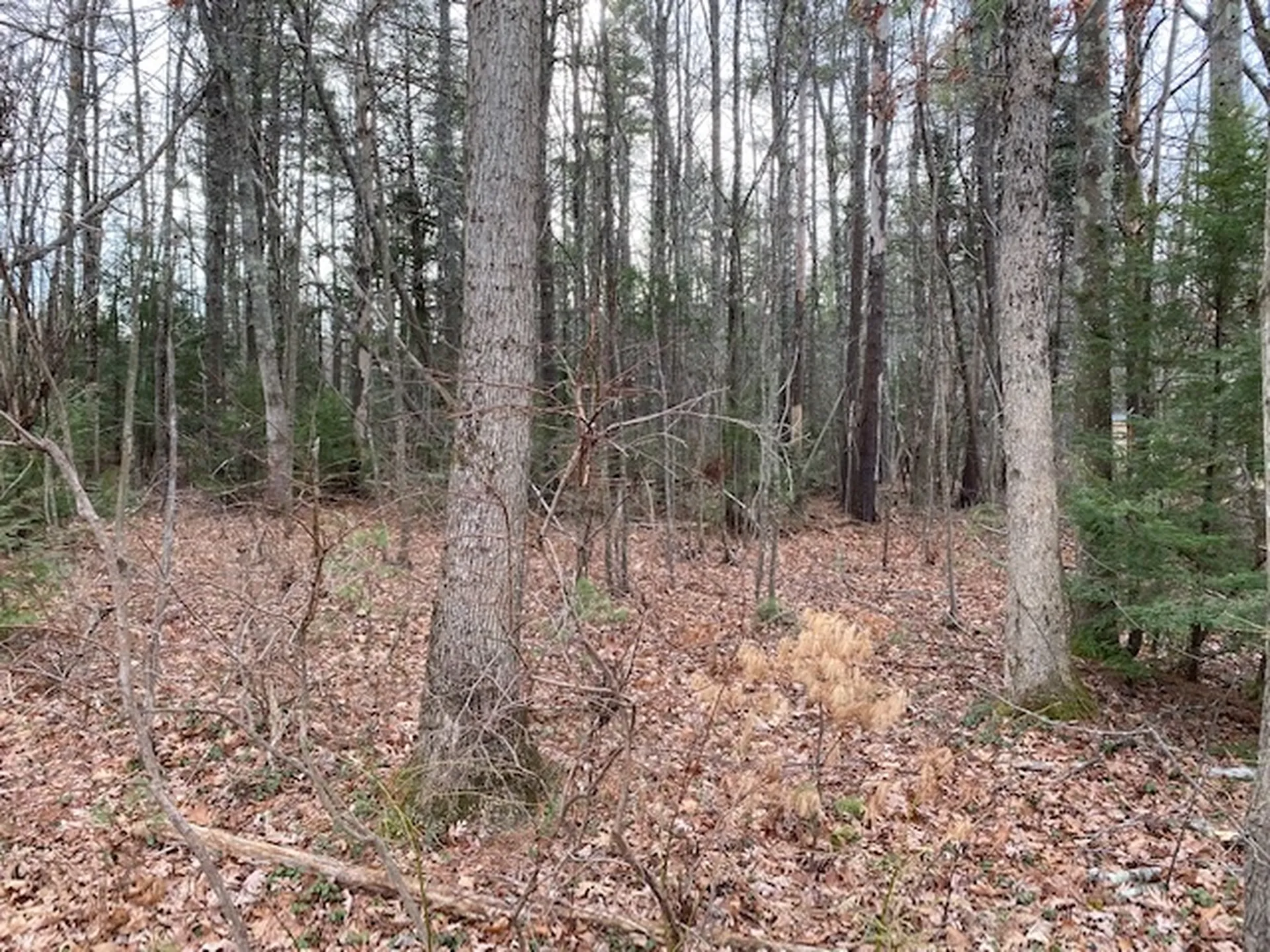 137 Salmon Falls Road Rochester NH 03868