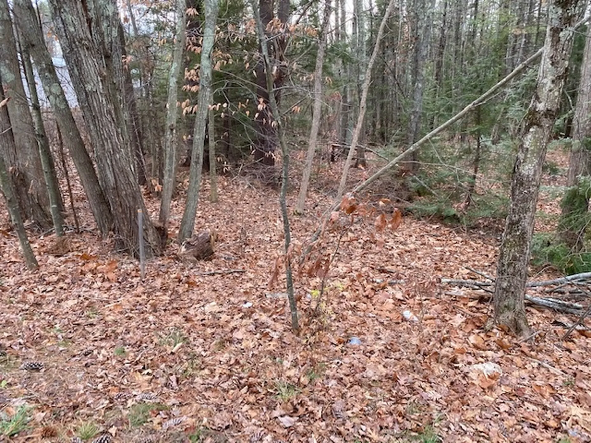 137 Salmon Falls Road Rochester NH 03868