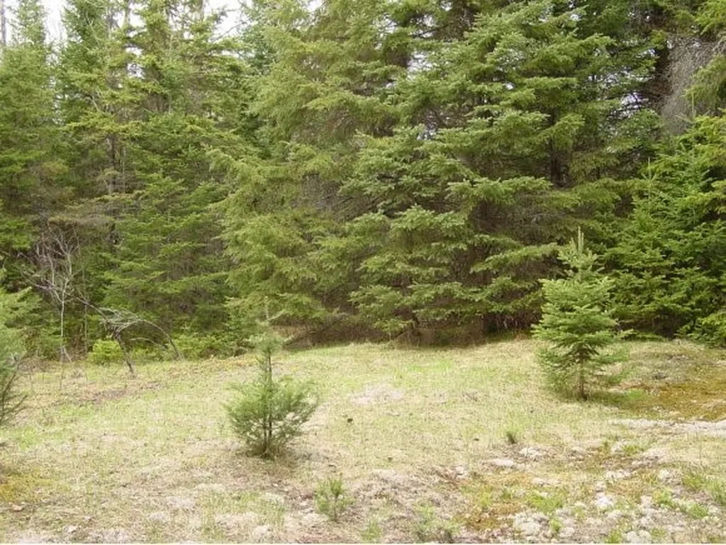 - Bates Hill Road Derby VT 05829