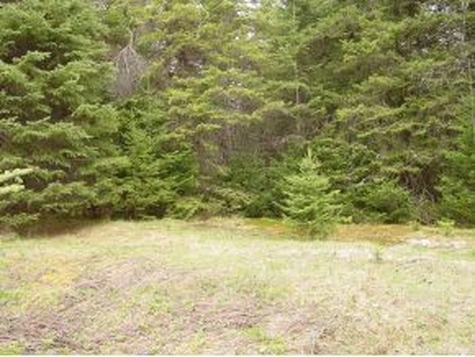 - Bates Hill Road Derby VT 05829
