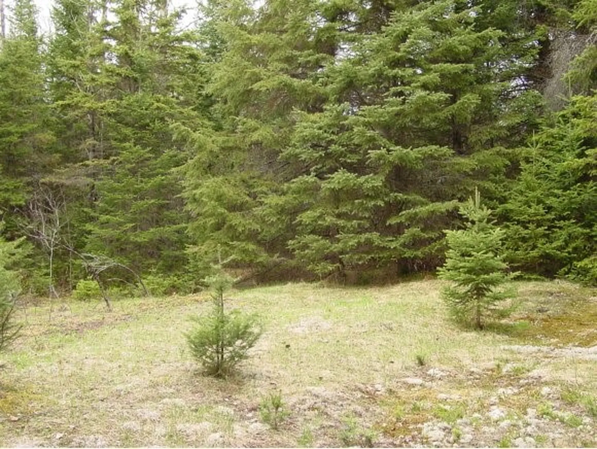 - Bates Hill Road Derby VT 05829