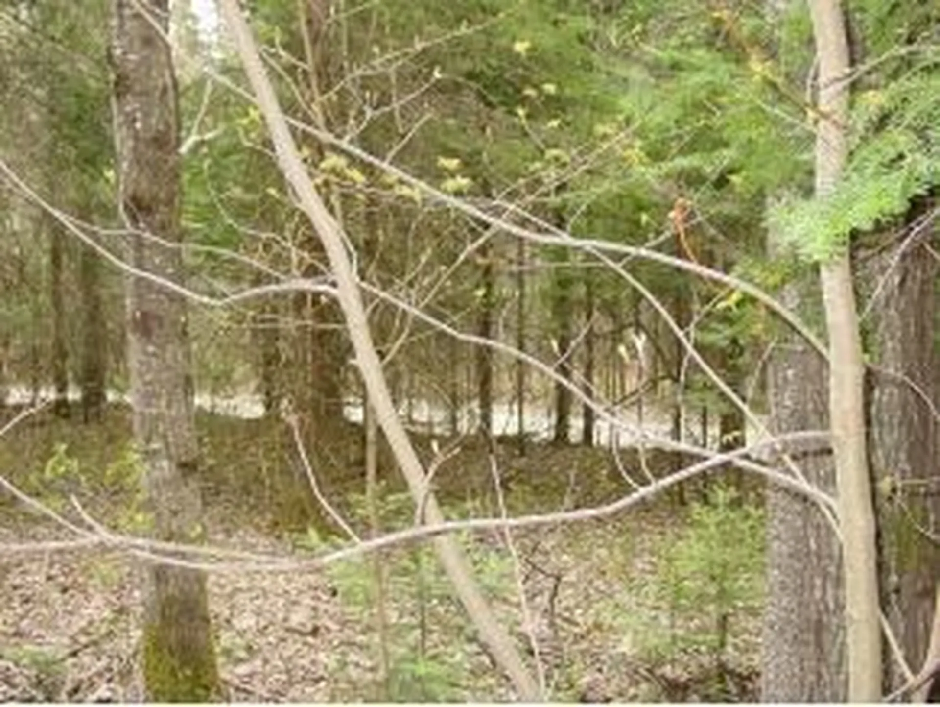 - Bates Hill Road Derby VT 05829