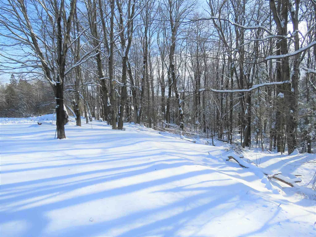 174 Andrews Road Holland VT 05830