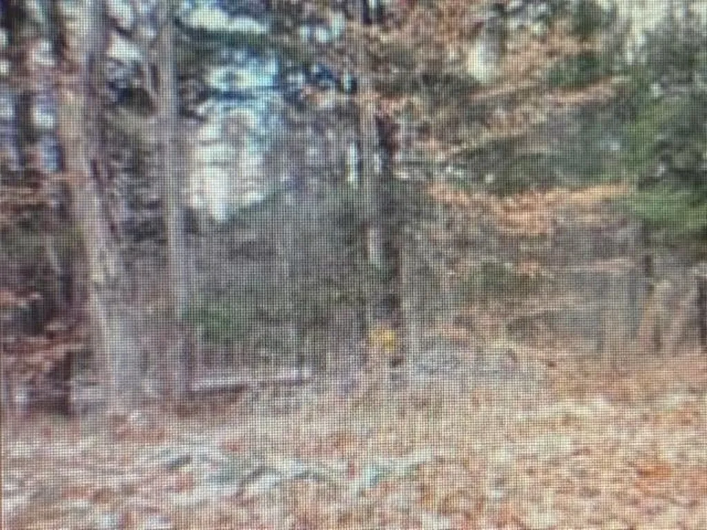 0 Fox Lane Hartford VT 05059