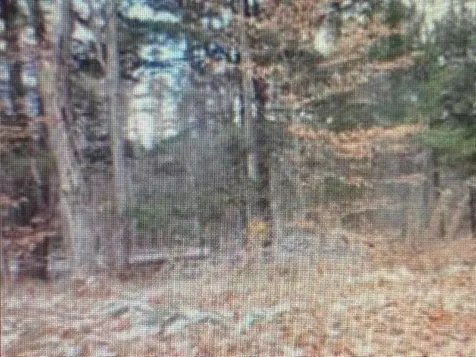 0 Fox Lane Hartford VT 05059
