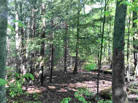 0 Regan Road Montgomery VT 05471