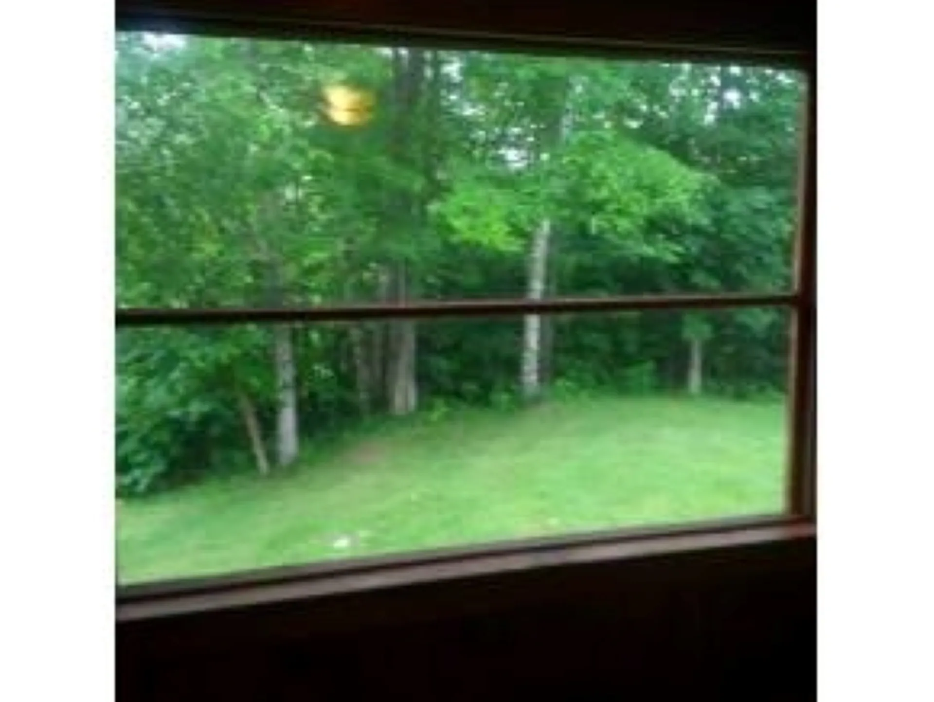 106 Newton Lane Thetford VT 05054