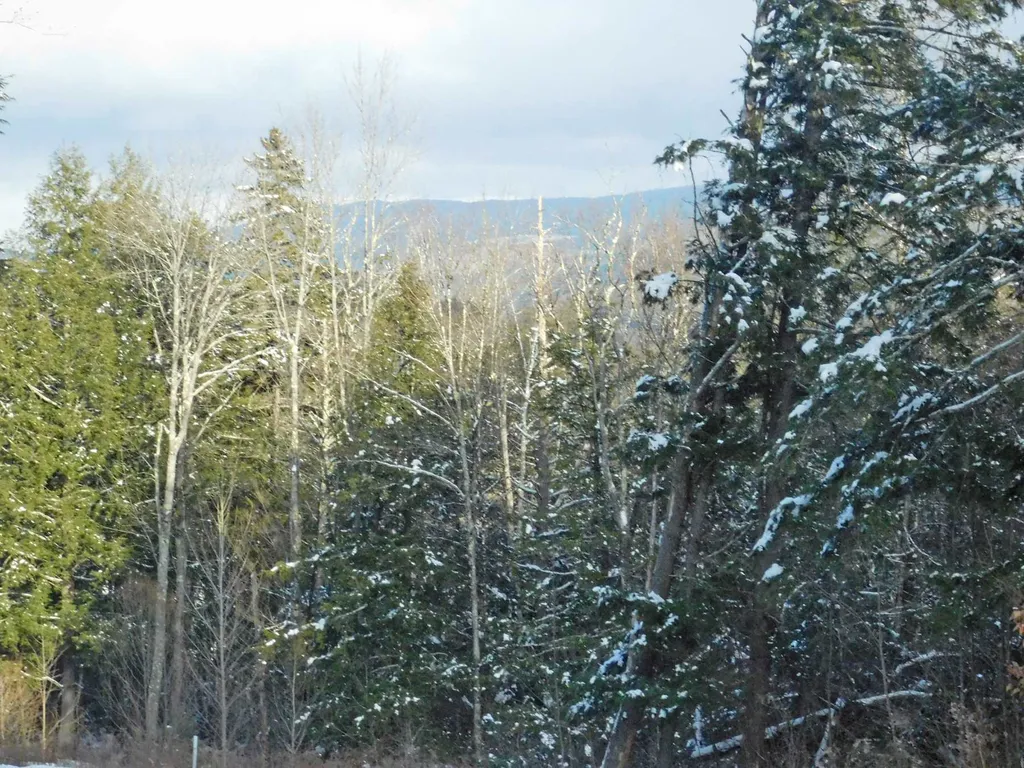 200 Bertha Springs Road Waitsfield VT 05673