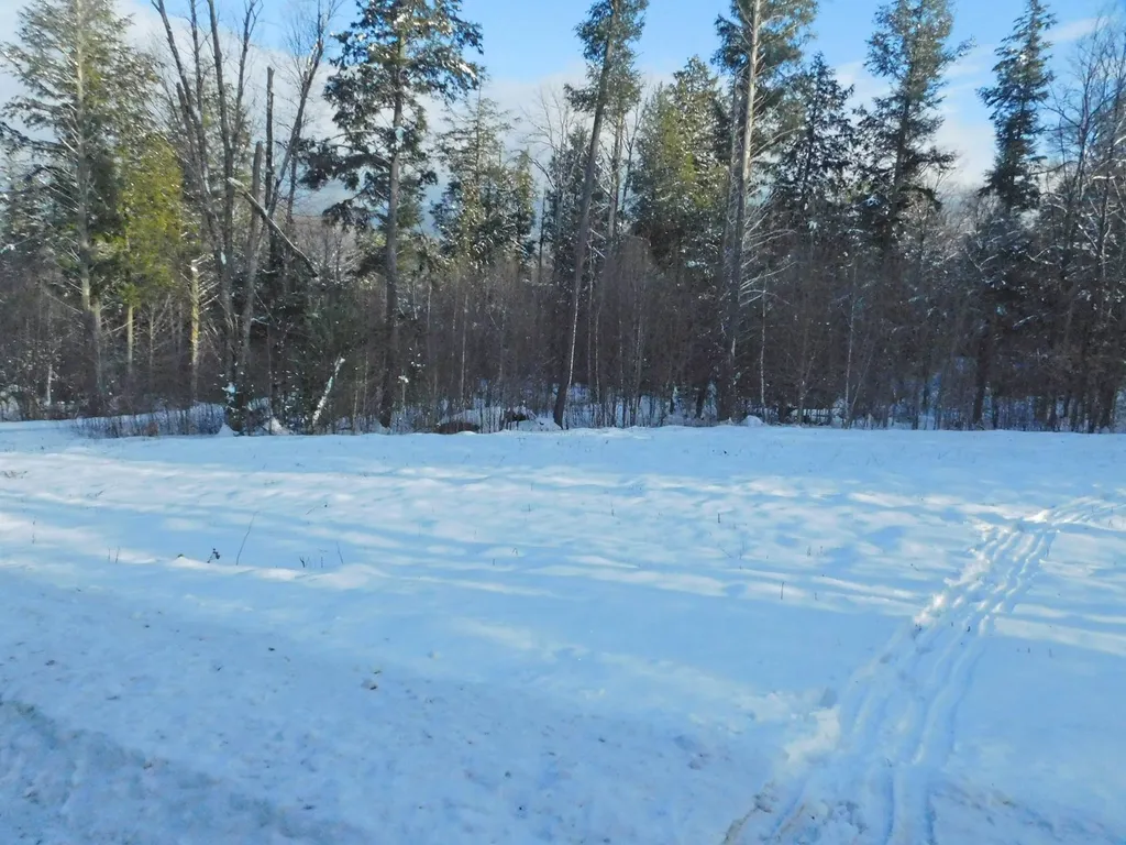 200 Bertha Springs Road Waitsfield VT 05673